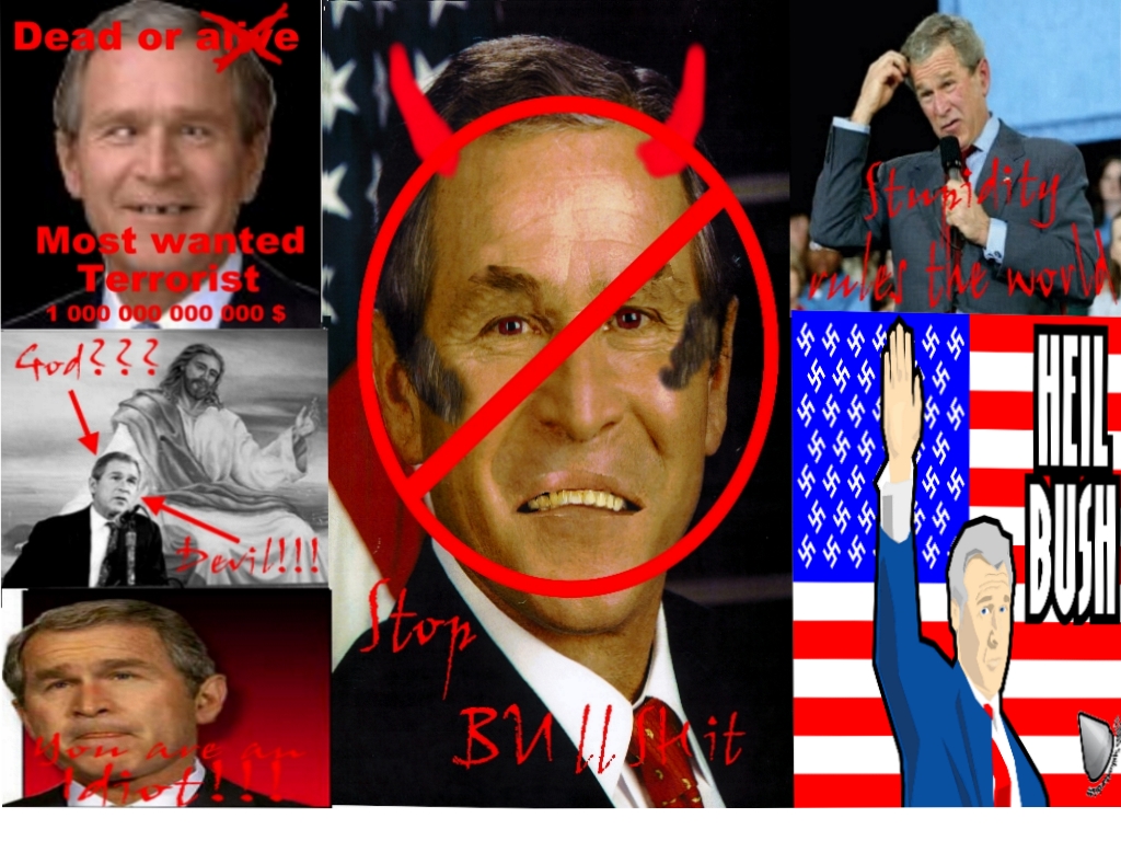 bushdesktop3.jpg